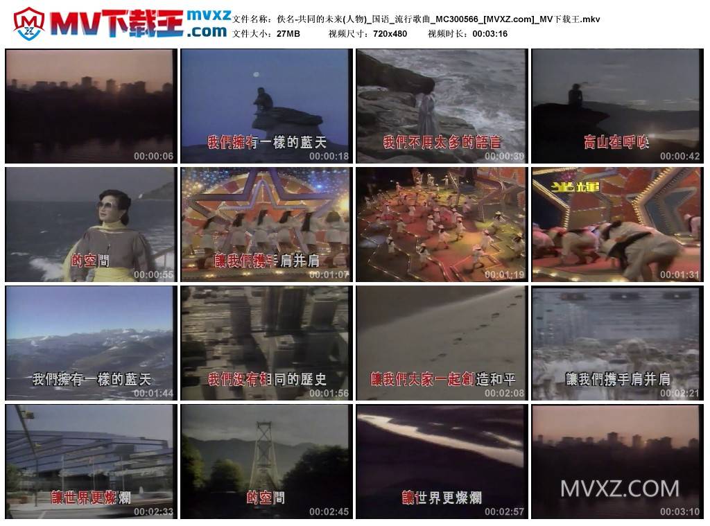 佚名-共同的未来(人物)_国语_流行歌曲_MC300566